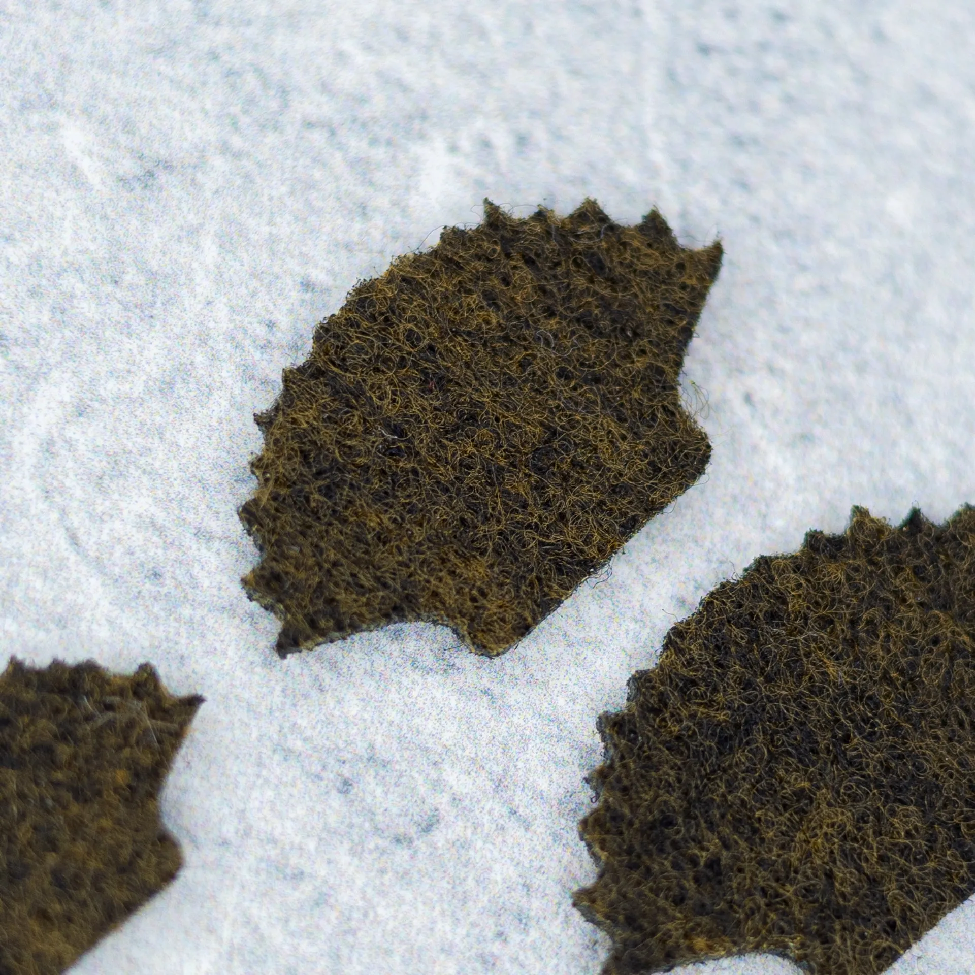 Felt Laser Shells - Blue Crab